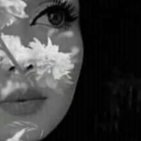 Selin
