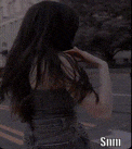 SiNeM
